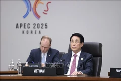 El presidente de Vietnam, Luong Cuong, asiste a la segunda sesión de la Cumbre de Líderes del APEC en Corea del Sur (Foto: VNA)