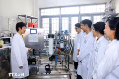 La calidad de los recursos humanos de Vietnam ha mejorado, y las políticas a favor del desarrollo humano integral se han vuelto más completas, enfocadas y prácticas (Foto: VNA)