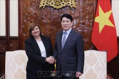 El presidente de Vietnam, Luong Cuong, recibe a la embajadora saliente de Egipto, Amal Abdel Kader Elmorsi Salama. (Foto: VNA)