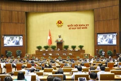 Panorama de la sesión (Foto: VNA)