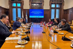 Panorama de la reunión (Foto: VNA)