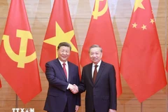 El secretario general del Partido Comunista de Vietnam, To Lam (derecha), se reúne con el secretario general del Partido Comunista de China y presidente de ese país, Xi Jinping (Foto: VNA)