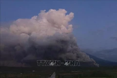 El volcán Semeru entró en erupción siete veces en la mañana de hoy, arrojando cenizas a una altura de hasta mil metros (Foto: VNA)