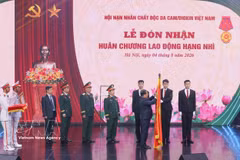 La Asociación de Víctimas del Agente Naranja/Dioxina de Vietnam recibe la Orden del Trabajo de segunda clase. (Foto: VNA)