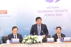 El viceprimer ministro vietnamita Nguyen Chi Dung interviene en la cita (Foto: VNA