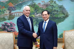 El viceprimer ministro y canciller de Vietnam, Bui Thanh Son (derecha), recibe a Gerardo Peñalver Portal, viceministro primero de Relaciones Exteriores de Cuba (Foto: VNA)