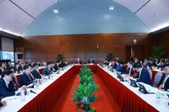 Los delegados debaten los proyectos de documentos presentados al XIV Congreso Nacional del Partido (Foto: VNA)