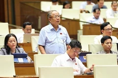 El diputado Nguyen Van Than, de la provincia de Hai Duong, interviene en la sesión (Foto: VNA)