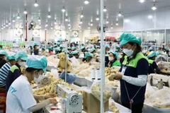 Trabajadores del Parque Industrial Du Long, provincia de Khanh Hoa. (Foto: VNA)