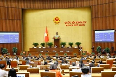 Panorama de la cita (Foto: VNA)