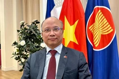 El embajador de Vietnam en Francia, Dinh Toan Thang (Foto: VNA)