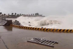 Olas de gran altura en la isla de Ly Son, provincia de Quang Ngai, debido al tifón Kalmaegi. (Foto: VNA)