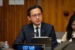 El embajador Do Hung Viet, jefe de la misión permanente de Vietnam ante la ONU, interviene en la cita (Foto: VNA)