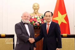 El ministro de Relaciones Exteriores de Vietnam, Le Hoai Trung (derecha), recibe al embajador de la República Checa, Hynek Kmonicek (Foto: VNA)