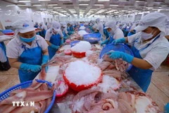 Procesamiento de productos acuícolas para la exportación (Foto: VNA)