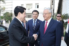 El presidente de Vietnam, Luong Cuong (izquierda), se reúne con el titular de la Cámara de Representantes de Egipto, Hanafy El Gebaly. (Foto: VNA)