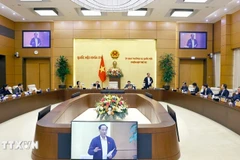 Panorama de la cita (Foto: VNA)