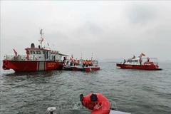 Las fuerzas funcionales buscan a las víctimas (Foto: VNA)