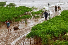 Vietnam vive en armonía con la naturaleza y el desarrollo sostenible