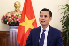 El viceministro vietnamita de Relaciones Exteriores Dang Hoang Giang (Foto: Cancillería de Vietnam)