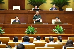 El general Phan Van Giang, ministro de Defensa, aclara algunas cuestiones a los diputados (Foto: VNA)