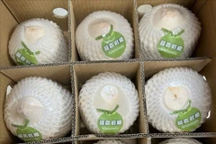 Este envío, realizado por la empresa Quan Minh, consta de 2.190 cajas con un peso total de 21.900 kilogramos. (Foto: VNA)