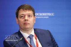El viceministro de Desarrollo Económico de Rusia, Ilyichev Vladimir Evgenievich (Foto: VNA)
