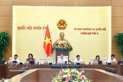 Panorama de la cita (Foto: VNA)