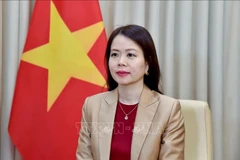 La viceministra de Relaciones Exteriores Nguyen Minh Hang (Foto: VNA)