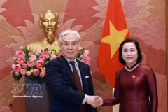 La vicepresidenta de la Asamblea Nacional de Vietnam, Nguyen Thi Thanh, recibe a Higashiue Shinichi, presidente del Grupo Médico Tokushukai de Japón. (Foto: VNA)