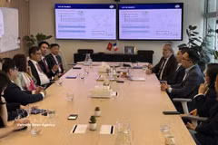 Panorama de la reunión (Foto: VNA)