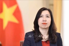 La viceministra vietnamita de Relaciones Exteriores Le Thi Thu Hang (Foto: VNA)