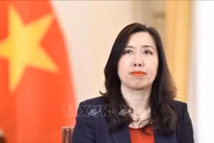 La viceministra vietnamita de Relaciones Exteriores Le Thi Thu Hang (Foto: VNA)