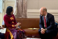 La vicepresidenta de la Asamblea Nacional de Vietnam, Nguyen Thi Thanh, se reúne con el subtitular del Senado francés, Loic Hervé (Foto: VNA)