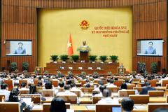 Panorama de la cita (Foto: VNA)