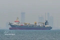 Un buque mercante permanece anclado frente a la costa de Dubái (Emiratos Árabes Unidos), mientras el tráfico marítimo se ve interrumpido en el estrecho de Ormuz el 2 de marzo de 2026. (Foto: AA/VNA)