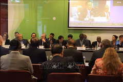 El viceministro Nguyen Hoang Hiep asiste a la Plataforma Global para la Reducción del Riesgo de Desastres (GP2025) en Ginebra, Suiza, el 4 de junio. (Foto: VNA)