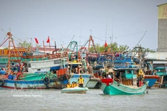 Las autoridades pertinentes visitan cada embarcación pesquera para concienciar sobre la lucha contra la pesca ilegal. (Foto: VNA)