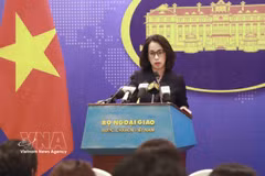 La portavoz de la Cancillería, Pham Thu Hang (Foto: VNA)
