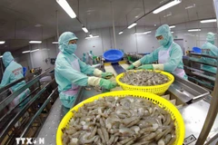 Empresas ajustan estrategias para mantener exportaciones de productos acuícolas