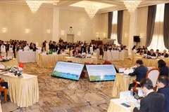 Panorama de la conferencia (Foto: VNA)