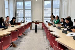 En la sesión de trabajo con Thani Mohamed Soilihi, ministro delegado para la Francofonía y las Asociaciones Internacionales del Ministerio de Asuntos Exteriores y Europeos de Francia. (Foto: VNA)