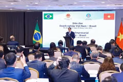 Primer ministro de Vietnam promete condiciones favorables para empresas brasileñas