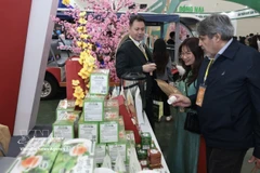 Visitantes en la feria (Foto: VNA)