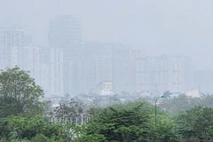 Foto de ilustración (Fuente: https://www.mae.gov.vn/)