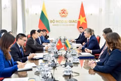 Panorama de la cita (Foto: Cancillería de Vietnam)