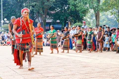 Provincia de Dong Nai por preservar y promover su patrimonio cultural inmaterial