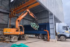 La maquinaria se integra en las líneas de gestión de carga, lo que ayuda a reducir las necesidades de mano de obra y a mejorar la eficiencia de las importaciones y exportaciones. (Foto: VNA)
