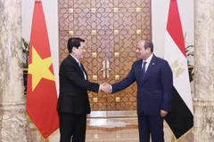 El presidente de Vietnam, Luong Cuong (izquierda), y su homólogo egipcio, Abdel Fattah El-Sisi (Foto: VNA)