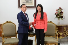El viceprimer ministro y canciller de Vietnam, Bui Thanh Son, y la ministra de Planificación, Desarrollo Económico y Cooperación Internacional de Egipto, Rania A. Al-Mashat (Foto: VNA)
